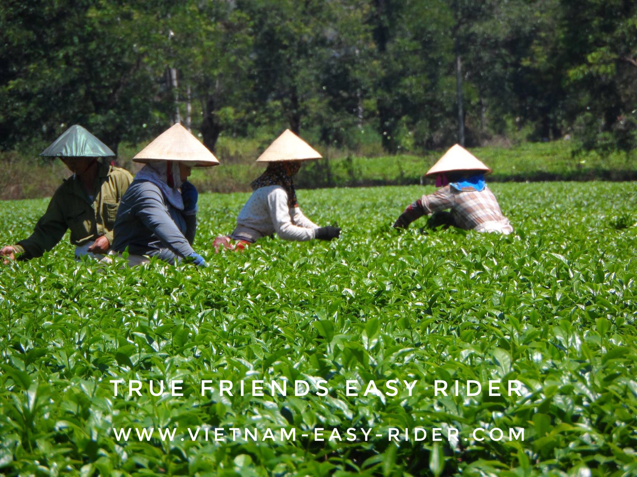 Sai Gon – Central Highland – Gold Coast – Ho Chi Minh Trail – Hoi An